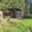 Prodej chaty 10 m² Lenora