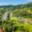 Prodej stavební parcely 981 m² Větřní