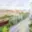 Pronájem bytu 2+kk 77 m² Praha Holešovice, Osadní