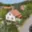 Prodej rodinného domu 210 m² Jíloviště