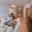 Prodej bytu 2+kk 44 m² Praha Kyje, Lipnická