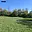Prodej zahrady 5 659 m² Letovice