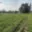 Prodej zahrady 2 567 m² Podivice