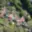 Prodej zahrady 288 m² Břeclav