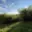 Prodej zahrady 589 m² Bílovice nad Svitavou