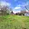 Prodej zahrady 1 065 m² Břeclav, Kančí obora