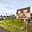 Prodej rodinného domu 168 m² Kladruby