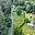 Prodej stavební parcely 896 m² Ralsko Ploužnice