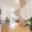 Pronájem bytu 3+kk 64 m² Slaný Kvíček, P. Jilemnického