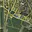 Prodej stavební parcely 1 020 m² Ražice