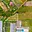 Prodej stavební parcely 991 m² Dřísy, Na Výsluní