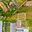 Prodej stavební parcely 968 m² Dřísy, Na Výsluní