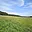 Prodej stavební parcely 8 980 m² Dobev Velké Nepodřice