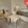 Prodej bytu 1+kk a garsoniéry 33 m² Mariánské Lázně, Anglická