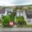 Prodej rodinného domu 119 m² Bělkovice-Lašťany
