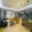 Pronájem bytu 4+kk 110 m² Praha Vinohrady, Mánesova