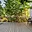 Prodej bytu 2+kk 65 m² Praha Vinohrady, Belgická