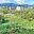 Prodej stavební parcely 1 001 m² Liberec