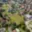 Prodej stavební parcely 907 m² Praha Horní Počernice, Božanovská