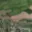 Prodej stavební parcely 1 011 m² Příchovice