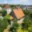 Prodej rodinného domu 194 m² Benešov, Nezvalova