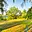 Prodej stavební parcely 1 083 m² Čkyně