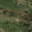 Prodej stavební parcely 2 419 m² Ronov nad Doubravou, Nádražní