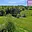Prodej stavební parcely 1 858 m² Český Těšín, Mistřovická
