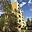 Prodej bytu 3+1 75 m² Třebíč Nové Dvory, Jar. Heyrovského