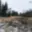 Prodej lesa 9 012 m² Votice Hory
