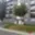 Pronájem bytu 2+1 46 m² Milovice Mladá, Spojovací
