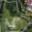 Prodej stavební parcely 10 601 m² Vysoký Chlumec