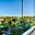 Prodej bytu 3+kk 56 m² Praha Lhotka, Jílovská