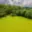 Prodej stavební parcely 2 511 m² Bělá pod Bezdězem Bezdědice
