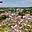 Prodej rodinného domu 246 m² Aš, Nerudova