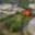 Prodej stavební parcely 1 700 m² Karlovy Vary Drahovice