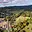 Prodej stavební parcely 23 886 m² Děpoltovice