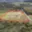 Prodej louky 18 000 m² Starý Plzenec, Bezručova