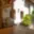 Pronájem bytu 1+kk a garsoniéry 27 m² České Budějovice 1, Česká