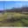 Prodej stavební parcely 367 m² Želetice