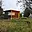 Prodej zahrady 385 m² Pardubice Pardubičky