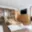 Prodej bytu 3+1 78 m² Praha Stodůlky, Amforová