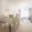 Prodej bytu 2+1 53 m² Praha Libeň, V zahradách
