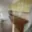 Pronájem bytu 2+kk 30 m² Vrchlabí, Krkonošská