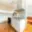 Prodej bytu 3+1 81 m² Brno Staré, Poříčí