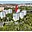 Prodej bytu 2+kk 45 m² Praha Stodůlky, Böhmova