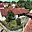 Prodej rodinného domu 415 m² Kraselov