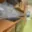 Prodej rodinného domu 90 m² Brno Chrlice, Ctiradova