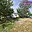 Prodej stavební parcely 604 m² Doubravice