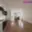 Pronájem bytu 2+1 68 m² Žatec, Volyňských Čechů